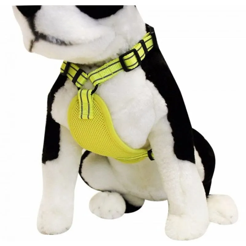 Visibility Harness with Reflective Accents