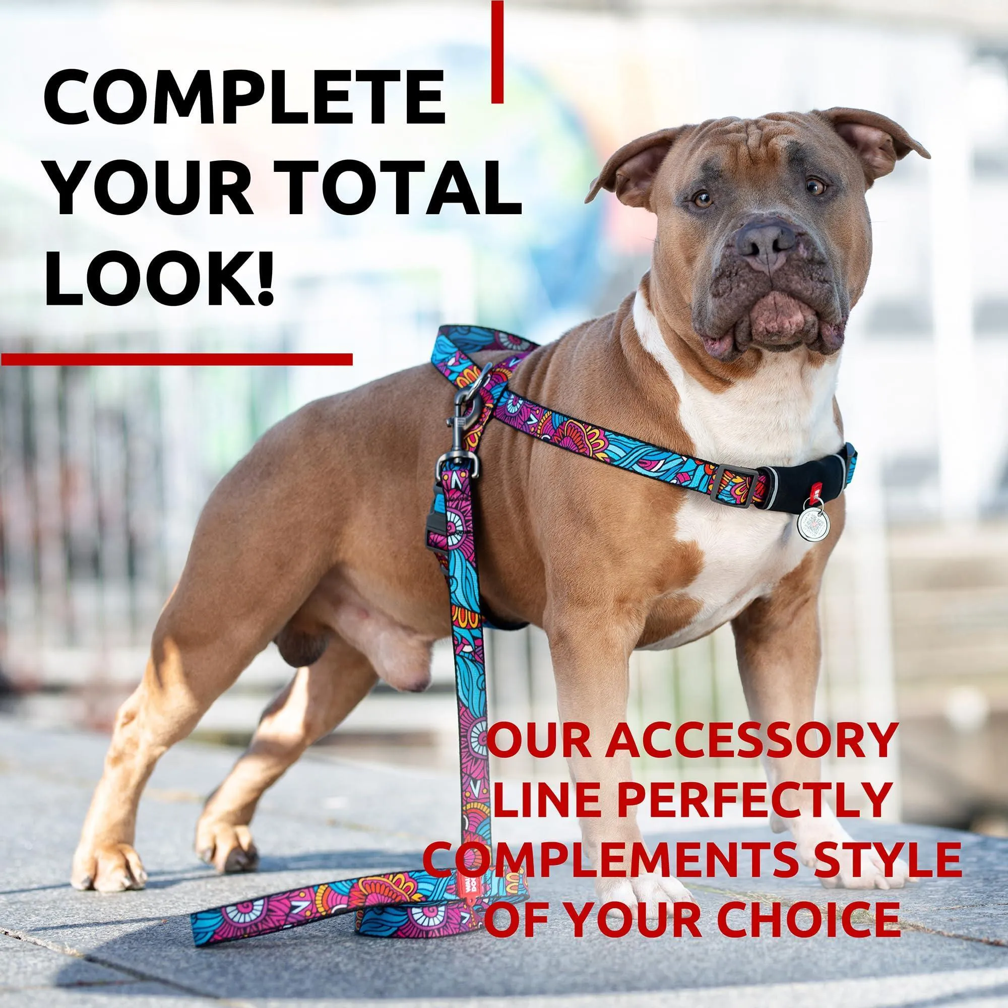 WAUDOG Nylon Dog Leash for Small Dogs and Medium Dogs 4 Ft   Strong
