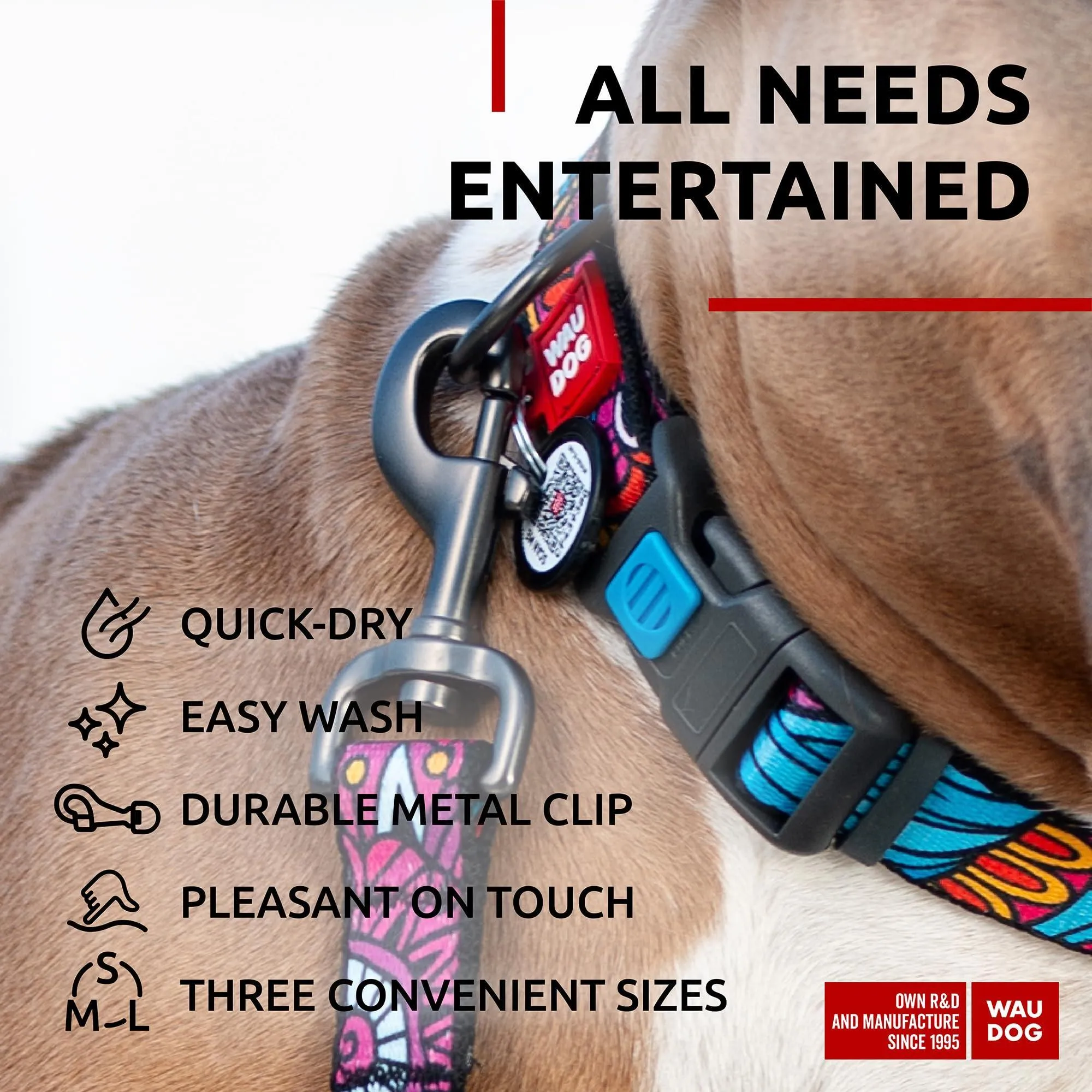 WAUDOG Nylon Dog Leash for Small Dogs and Medium Dogs 4 Ft   Strong