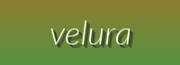 Velura - Luxury Comforts, Mealtime Essentials, and Outdoor Gear for Pets